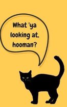 What 'ya Looking AT, Hooman?