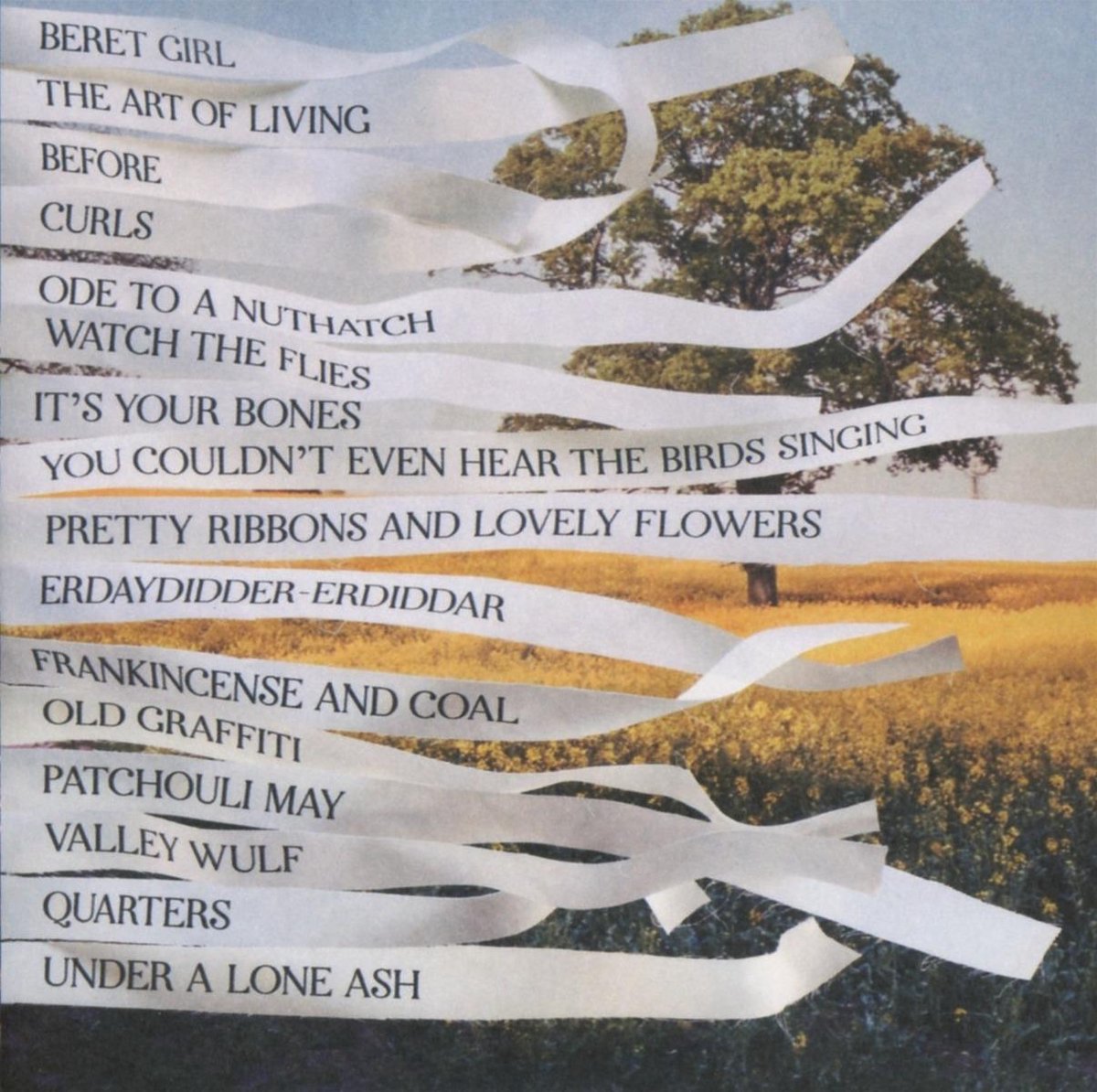 Ribbons, Bibio CD (album) Muziek bol