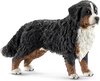 foto van Berner Sennenhond Vrouwtje