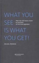 What you see is what you get! - Michel Permeke
