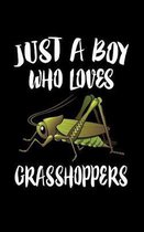 Just A Boy Who Loves Grasshoppers