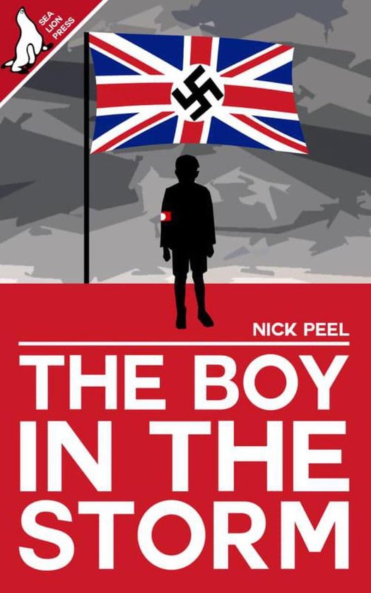 The Boy in the Storm - cover