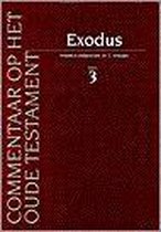 Exodus 3 exodus 20-40