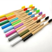 Set van 2 bamboe tandenborstels in willekeurige kleuren.