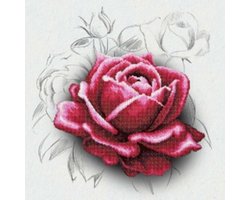 MiniArt Crafts, Rose Drawing, 40x40 cm (nivo: moeilijk)