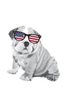 Dog Sunglasses