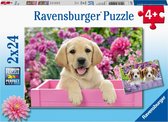 Ravensburger puzzel Dierenfoto´s - 2x24 stukjes - kinderpuzzel