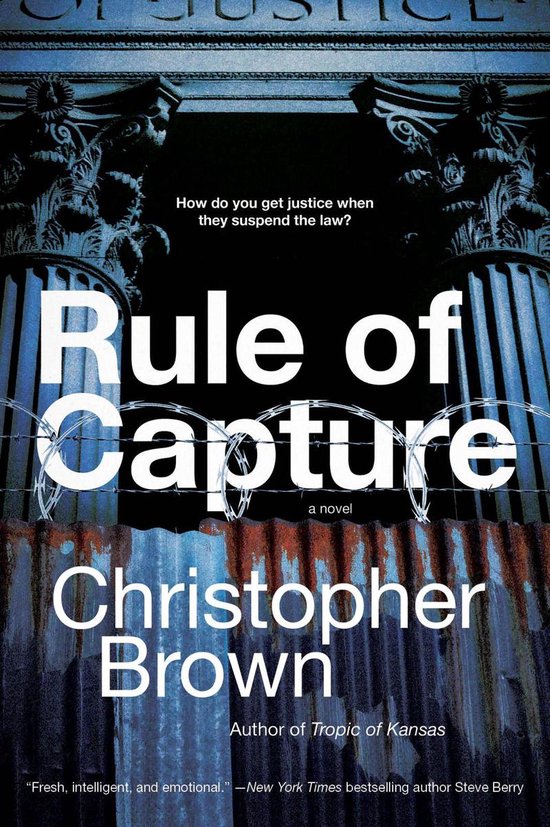Dystopian Lawyer 1 - Rule of Capture - cover