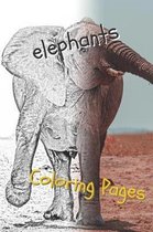 Elephant Coloring Pages