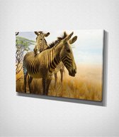 Zebras On The Field Canvas | 70x100 cm