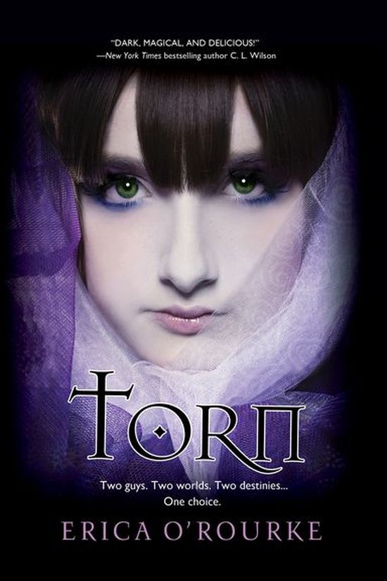 Torn - cover