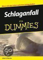 Schlaganfall für Dummies