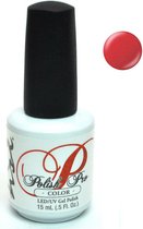 NSI Polish Pro Red Rock