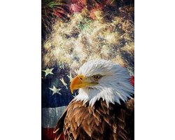 American Bald Eagle USA Flag 4th of July Fireworks Independence Day Journal Notebook