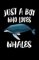 Just A Boy Who Loves Whales