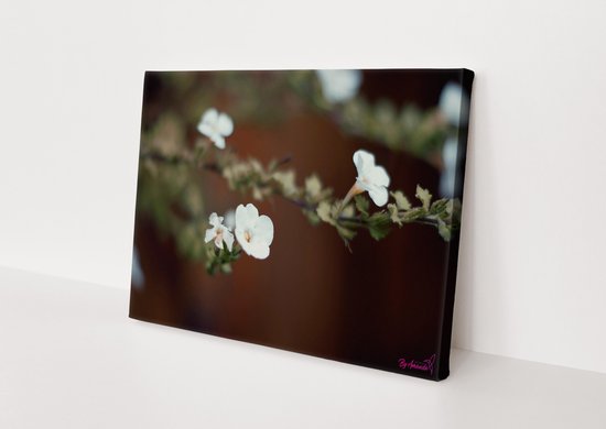 Witte Bloem | Close-up | Natuur | Stichting BY Amanda | Canvasdoek | Wanddecoratie | 150CM x 40CM | Schilderij