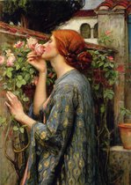 Poster The Soul of the Rose - John William Waterhouse - 42x30 - Roos - Romantiek