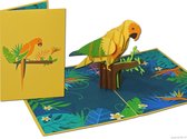 Popcards popupkaarten – Vogel Papegaai Oerwoud  Jungle Verjaardag Felicitatie pop-up kaart 3D wenskaart