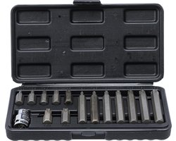 BGS - Torx bitset 15 delig - T20 - T25 - T30 - T40 - T45 - T50 - T55 - Komplete set -  BGS 5040