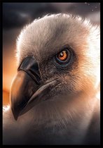 Punt. Poster - Vulture Botanische Jungle Dieren - 29.7 X 21 Cm - Wit