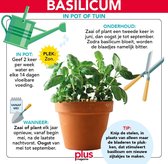 Basilicum Zaaiset | Kweekset | Kweekbakje