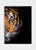 Poster Blue Eyes Tiger - Dibond - Meerdere Afmetingen & Prijzen | Wanddecoratie - Interieur - Art - Wonen - Schilderij - Kunst