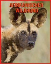 Afrikanischer Wildhund