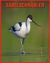 Sabelschnabler