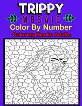 Trippy Mosaic Color By Number Coloring Books Adults