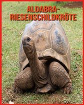 Aldabra-Riesenschildkroete