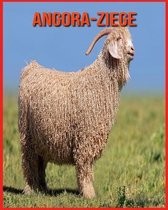 Angora-Ziege