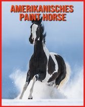 Amerikanisches Paint Horse