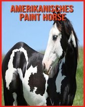 Amerikanisches Paint Horse
