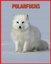 Polarfuchs