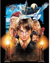 diamond painting harry potter volwassenen en kinderen 30x40cm