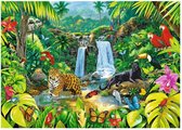 Rainforest -  Puzzle 2,000 pieces