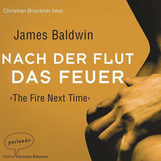 Nach der Flut das Feuer (Ungekürzte Lesung) - cover
