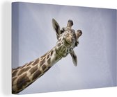Canvas Schilderij Giraffe - Dier - Lucht - 60x40 cm - Wanddecoratie