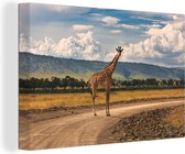 Canvas Schilderij Giraffe - Pad - Landschap - 60x40 cm - Wanddecoratie