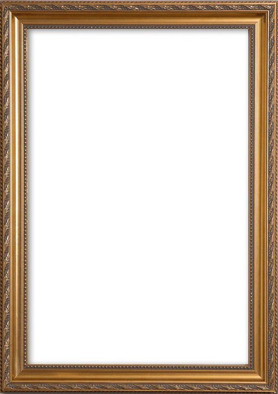 B.C. Wiskunde Tegenover Barok Lijst 40x50 cm Goud - Franklin | bol.com
