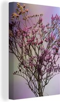 Un bouquet de fleurs de statice rose en toile nature 20x30 cm - petit - Tirage photo sur toile (Décoration murale salon / chambre) / Peintures Fleurs sur toile