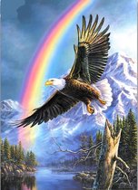 Diamond painting eagle - rainbow 40x50cm square drill