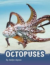 Animals- Octopuses
