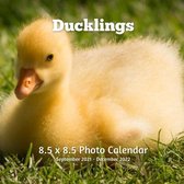 Ducklings 8.5 X 8.5 Calendar September 2021 -December 2022: Monthly Calendar with U.S./UK/ Canadian/Christian/Jewish/Muslim Holidays-Nature Birds