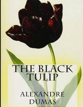 The Black Tulip illustrated