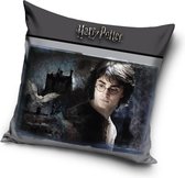 Harry Potter - Sierkussen Kussen 40 x 40 cm inclusief vulling