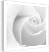 Schilderij Witte roos dichtbij, 80x80cm, wit-grijs