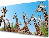 Glasschilderij giraffe group | 100 X 50 CM | 4 mm gehard glas | Incl. Blind ophangsysteem | Moderne glazen schilderij