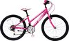 Fuchsia, Paars
