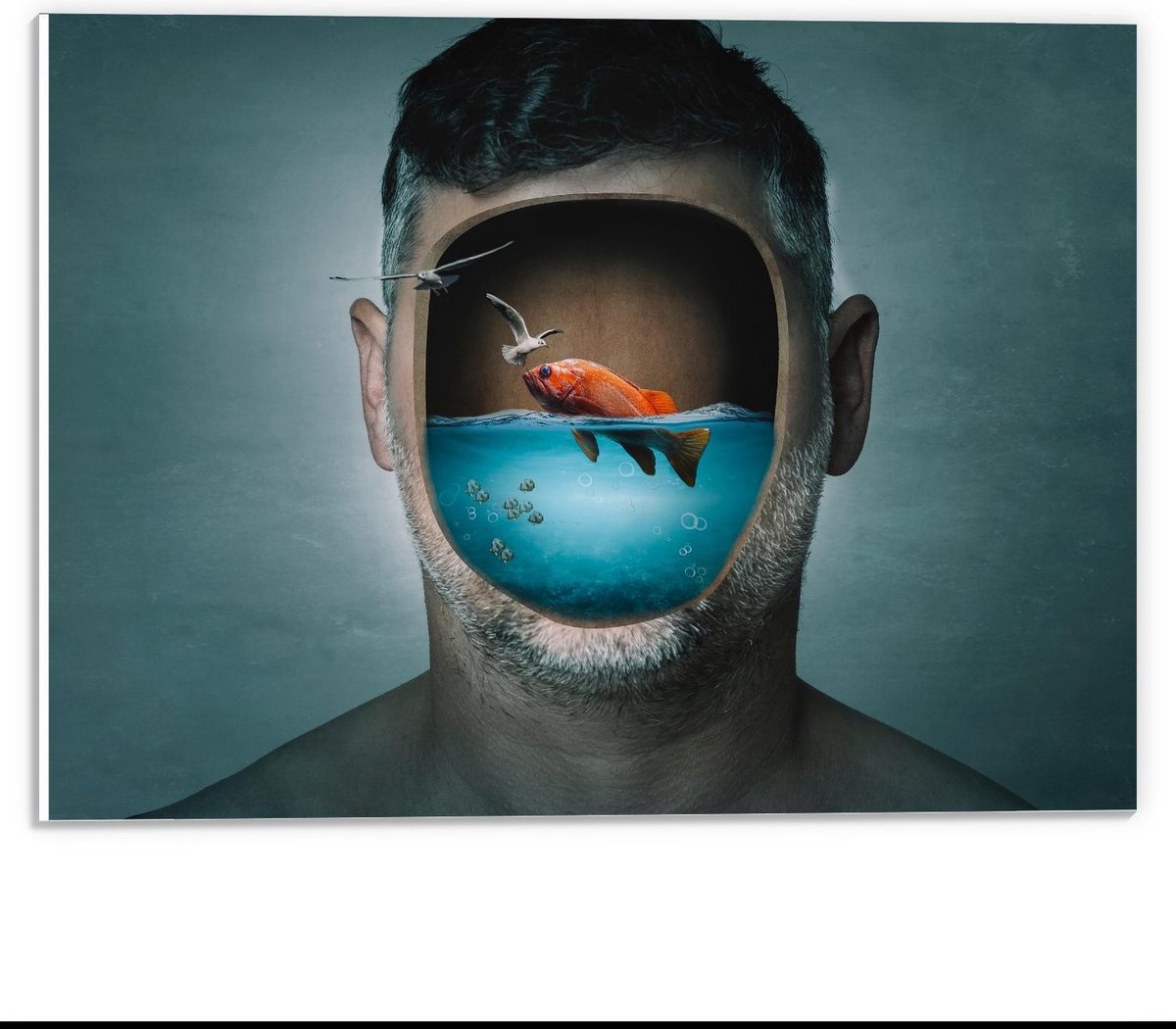 Forex - Aquarium Hoofd van Man - 40x30cm Foto op Forex
